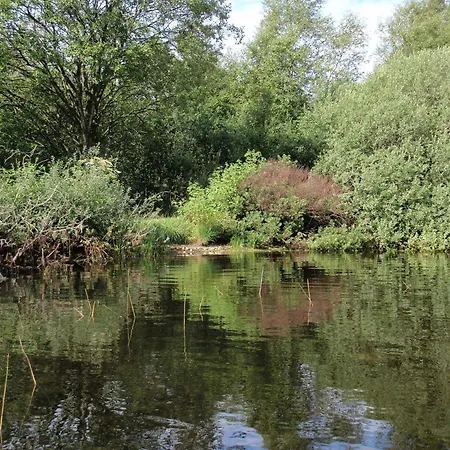 6 Person In Дом отдыха