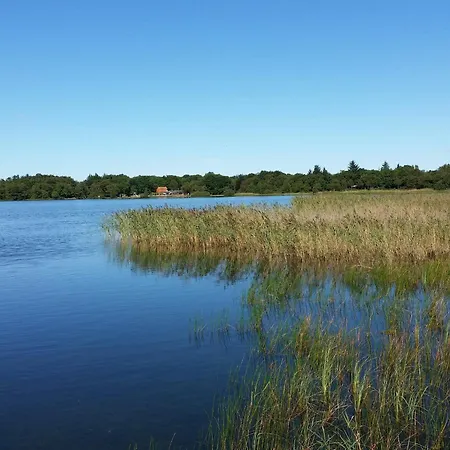 6 Person In * Ansager