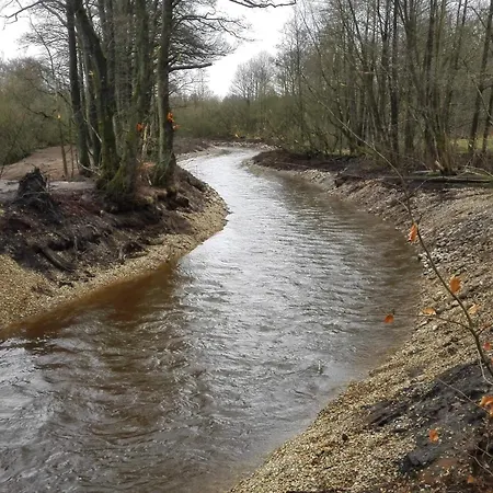 6 Person In Nyaraló *
